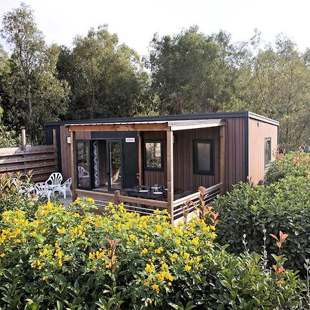 Camping Les Castors Calvi  Eksteriør bilde