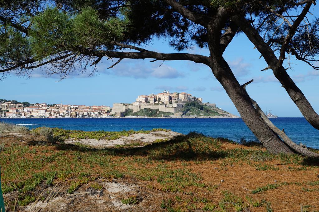 Camping Les Castors Calvi  Eksteriør bilde