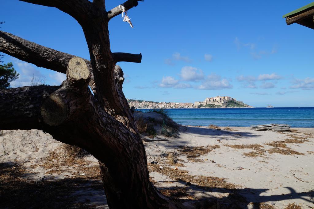 Camping Les Castors Hotell Calvi  Eksteriør bilde