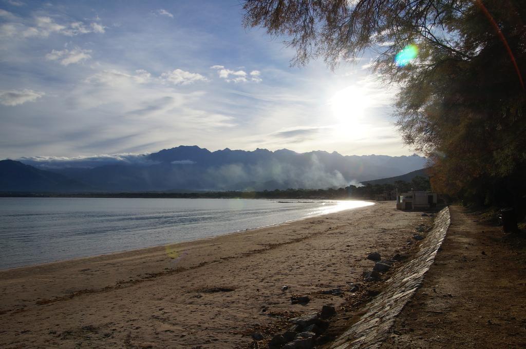 Camping Les Castors Hotell Calvi  Eksteriør bilde