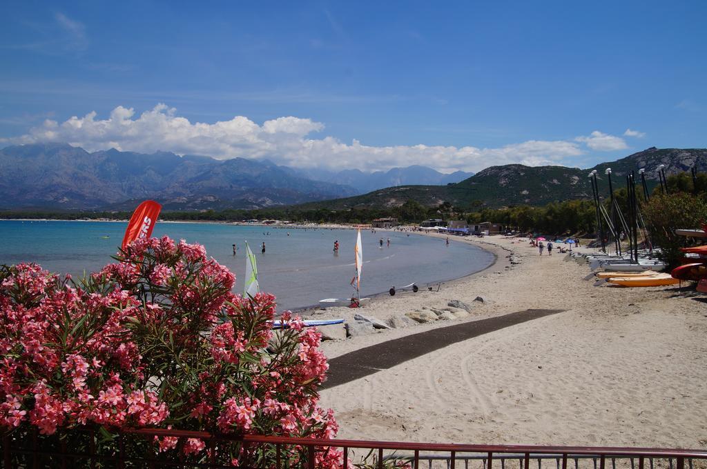 Camping Les Castors Calvi  Eksteriør bilde